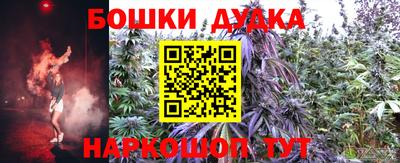 прущие грибы Гусев