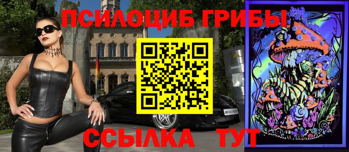 Наро-Фоминск  Галлюциногенные грибы Psilocybe  Вход с VPN  Галлюциногенные грибы мицелий 
