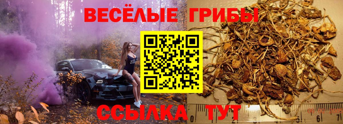 Галлюциногенные грибы мицелий Наро-Фоминск