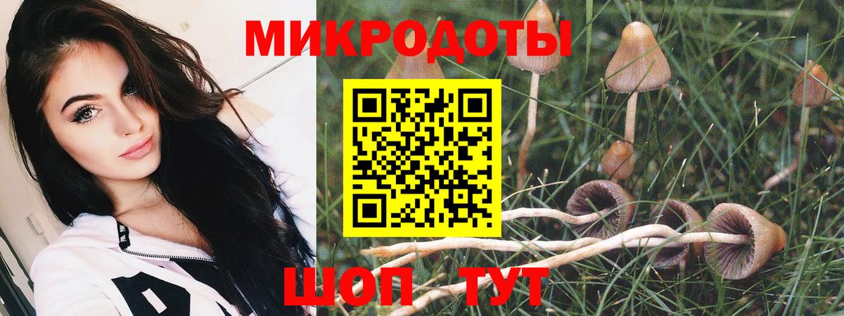 Псилоцибиновые грибы мухоморы  Наро-Фоминск  Псилоцибиновые грибы прущие грибы 